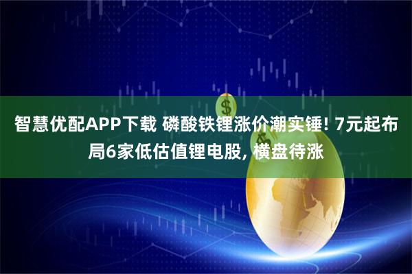 智慧优配APP下载 磷酸铁锂涨价潮实锤! 7元起布局6家低估值锂电股, 横盘待涨