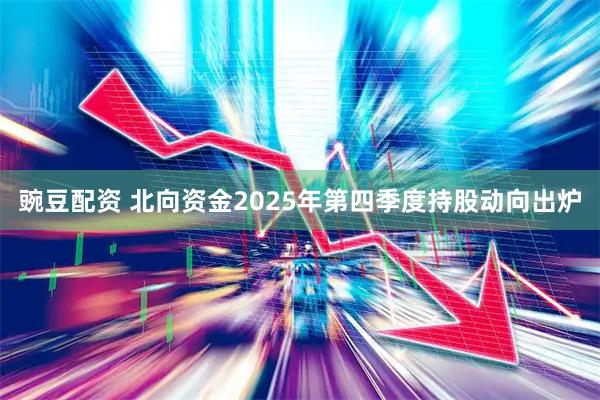 豌豆配资 北向资金2025年第四季度持股动向出炉