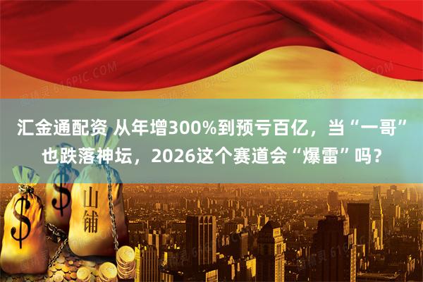汇金通配资 从年增300%到预亏百亿，当“一哥”也跌落神坛，2026这个赛道会“爆雷”吗？