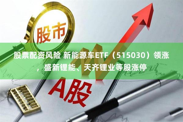 股票配资风险 新能源车ETF（515030）领涨，盛新锂能、天齐锂业等股涨停