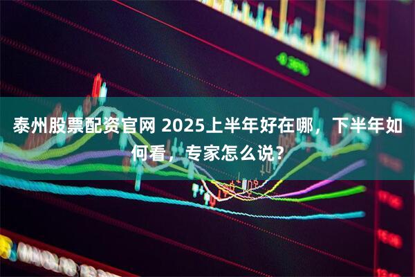 泰州股票配资官网 2025上半年好在哪，下半年如何看，专家怎么说？