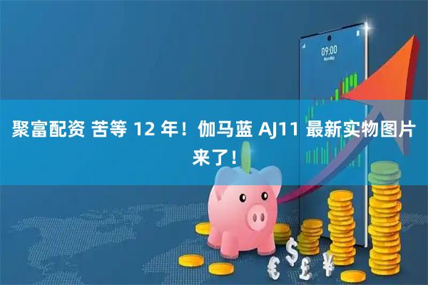 聚富配资 苦等 12 年！伽马蓝 AJ11 最新实物图片来了！