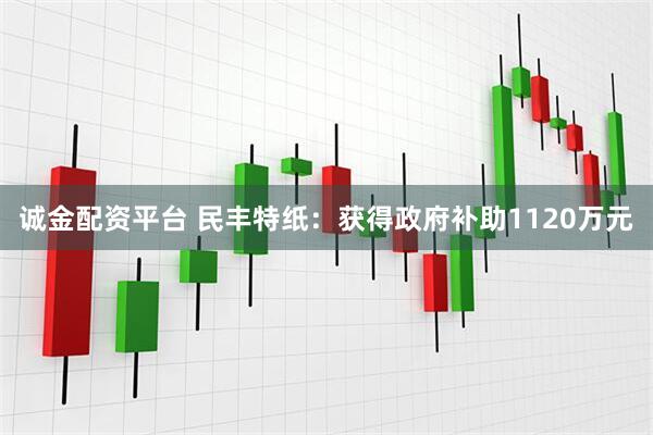 诚金配资平台 民丰特纸：获得政府补助1120万元